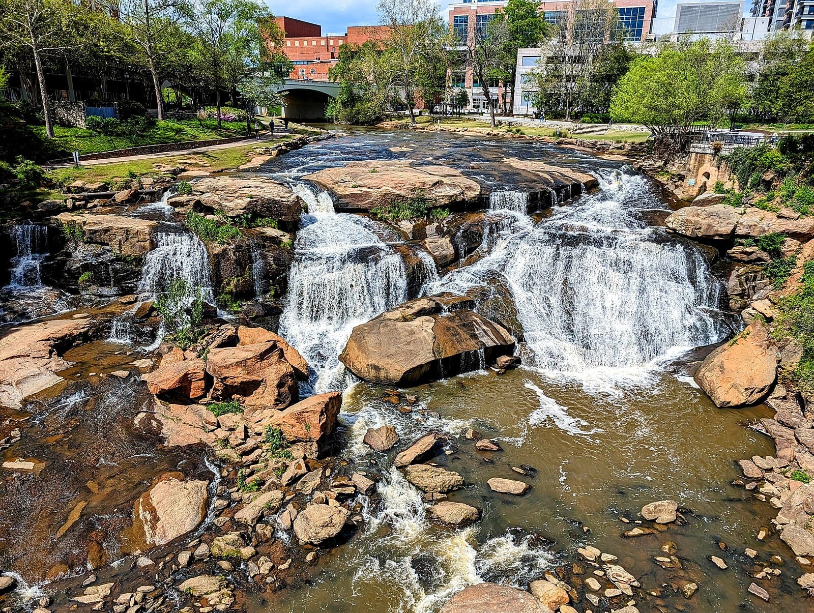 Greenville, SC skyline / city view